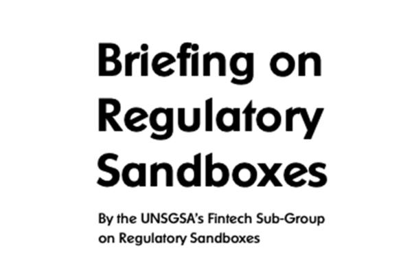 Briefing on Regulatory Sandboxes