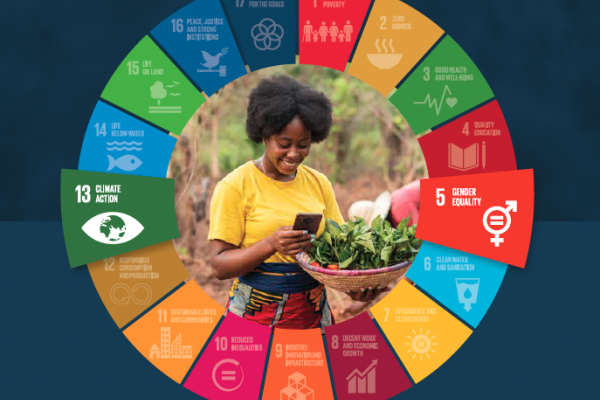 SDG compendium cover image