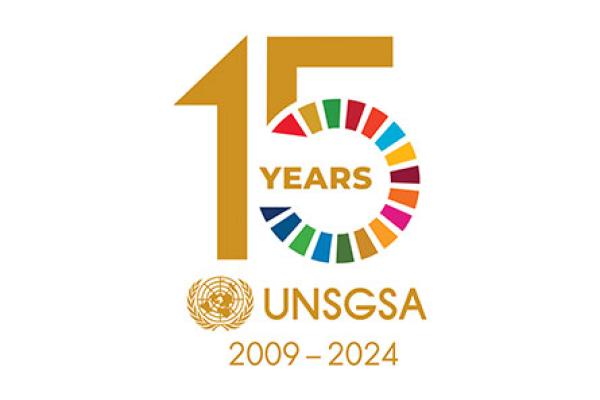 UNSGSA 15-Year Anniversary Logo